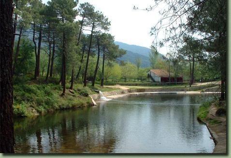 Casa Rural De La Parra La Adrada Exteriör bild